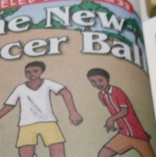 33.the new soccer ball