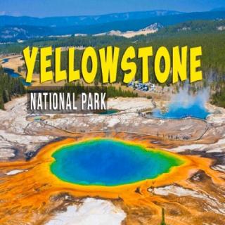 Yellowstone National Park⛰️