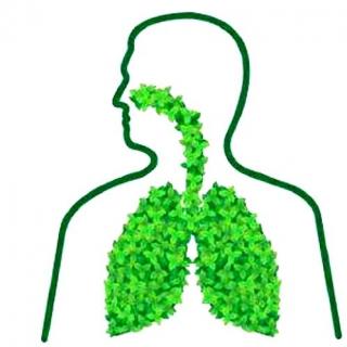 呼吸系统疾病（上）