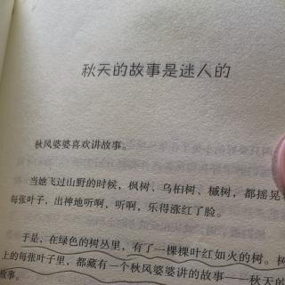 秋天的故事是迷人的