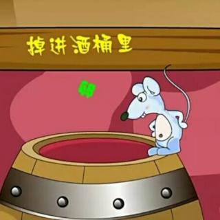 济南市高庄中心幼儿园童心故事汇《掉进酒桶的老鼠🐭》