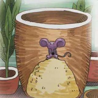 教师绘本故事——《掉进米缸里的老鼠》