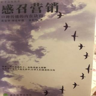 感召营销：设定范畴