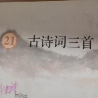 21古诗词三首