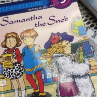 Samantha the Snob by Darcy