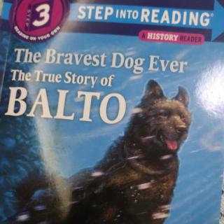 The bravest dog ever by Darcy