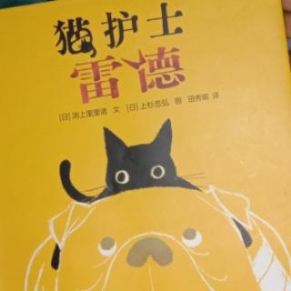 猫护士雷德