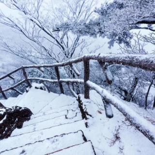 《第一场雪》节选   峻青