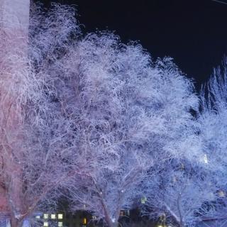 夜幕下的小镇/美杨儿/诵读雨霁