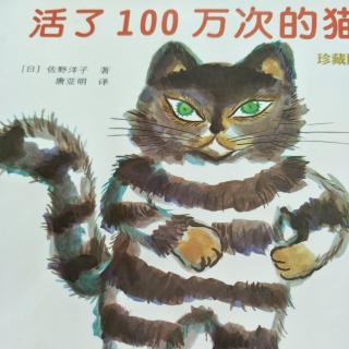 活了100万次的猫🐱