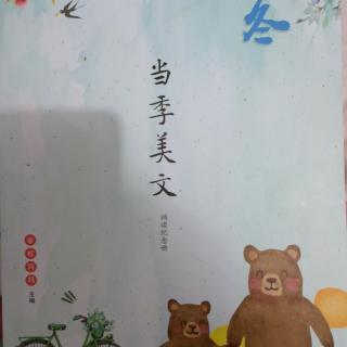 当季美文—冬