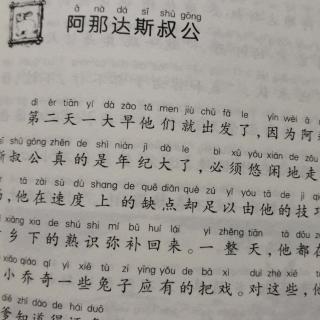 阿那达斯叔公