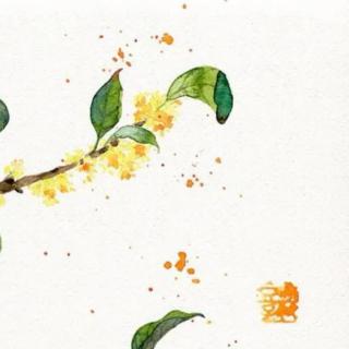 李清照词4.《鹧鸪天•桂花》