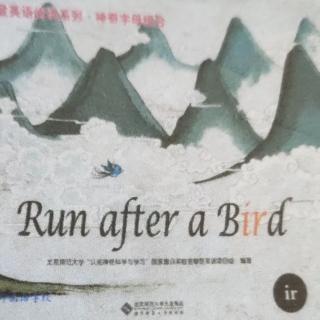 Run after a Bird