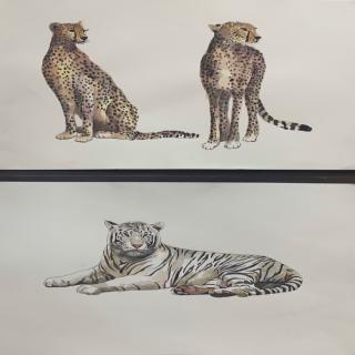 《学雷锋活动》珞萱