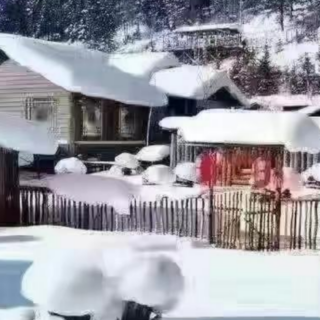 《雪中情》——阿金