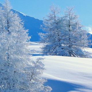 雪（诵读：临风）