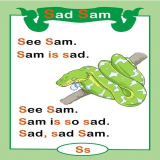 sad Sam