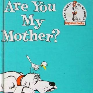 你是我的妈妈么？