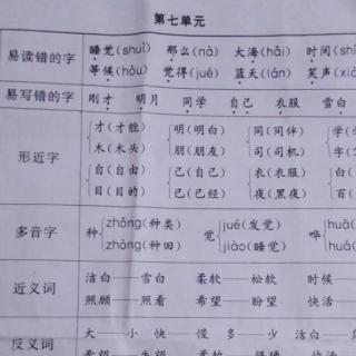 知识点梳理第七单元