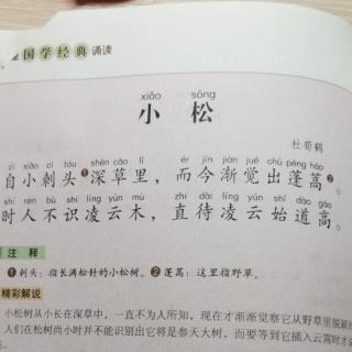 唐诗三百首210•小松•杜萯鹤