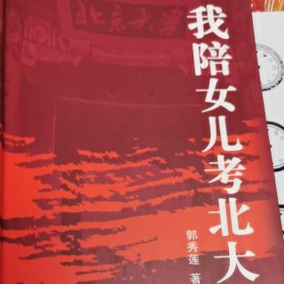 双角犀鸟、一对白天鹅