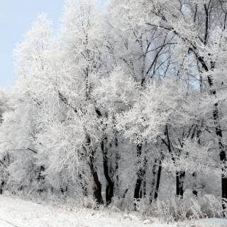 写给雪  作者璧眭