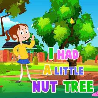 【Rainy唱童谣】Nut Tree 我有一颗坚果树