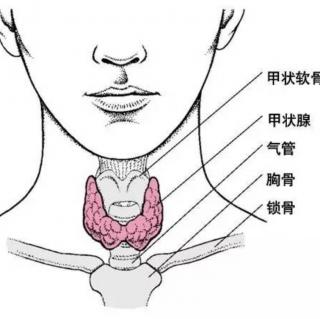 甲状腺穿刺会导致肿瘤细胞扩散吗？