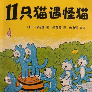 11只猫遇怪猫