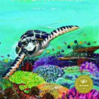 济南市高庄中心幼儿园童心故事汇《小海龟的勇敢旅程》