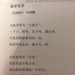 我学写字