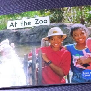 At  the  Zoo