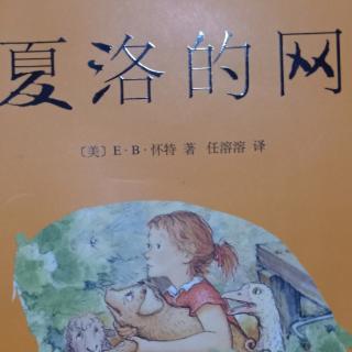 小猪威尔伯