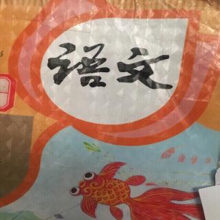 阅读海上的风