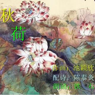 《秋荷》作画：池颖欣；配诗：陈泰灸；朗诵：铁石