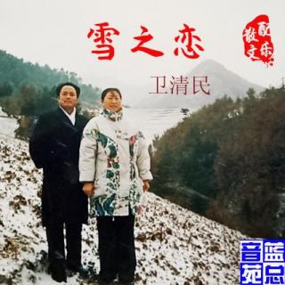 卫清民《雪之恋》蓝总播音