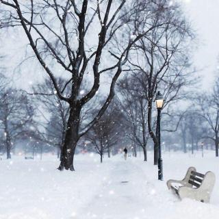 瑞雪兆丰年，听雪落下的声音