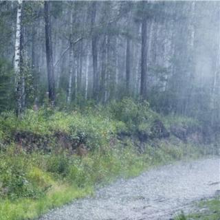 纯雨声（美洲）