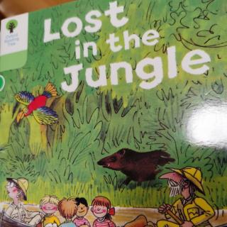 20/1/9 Lost in the Jungle  ort