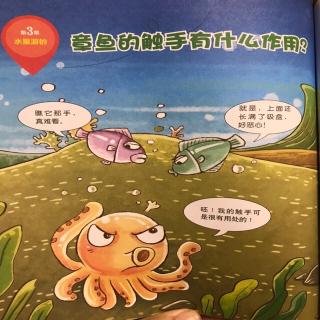 章鱼🐙的触手有什么作用？-20200109