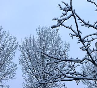 《冬雪》二首 三读