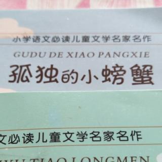 孤独的小螃蟹