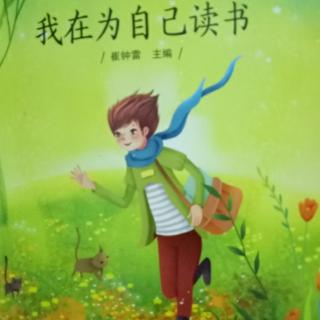 我在为自己读书《他解开了世界难题》