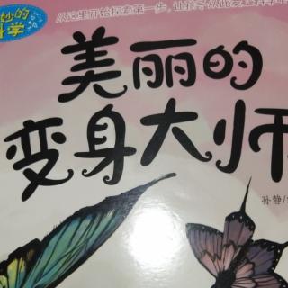 美丽的变身大师，张晗希528字