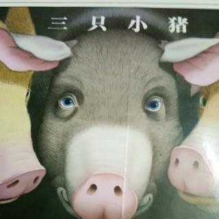 《三只小猪》