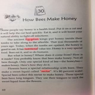 10-30 How Bees Make Honey