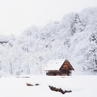 最美不过北国雪 - 恋上书的味道