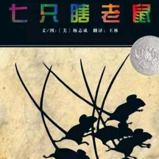 【中文绘本】06—《七只瞎老鼠》