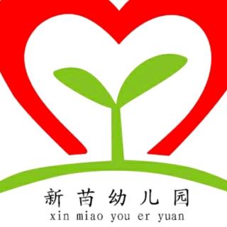 《阿獾探险队》